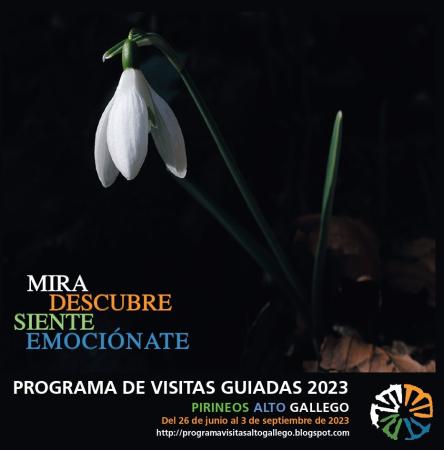 Imagen Programa de visitas guiadas en el Alto Gállego verano 2023