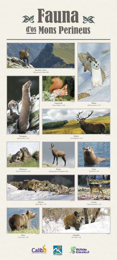 Imagen ¡Celebra el Día de la Lengua Materna con arte y naturaleza! Disponible los posters en nuestra página web