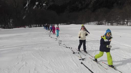 Imagen Comarca Alto Gállego impulsa curso de esquí nórdico en Panticosa este 2026