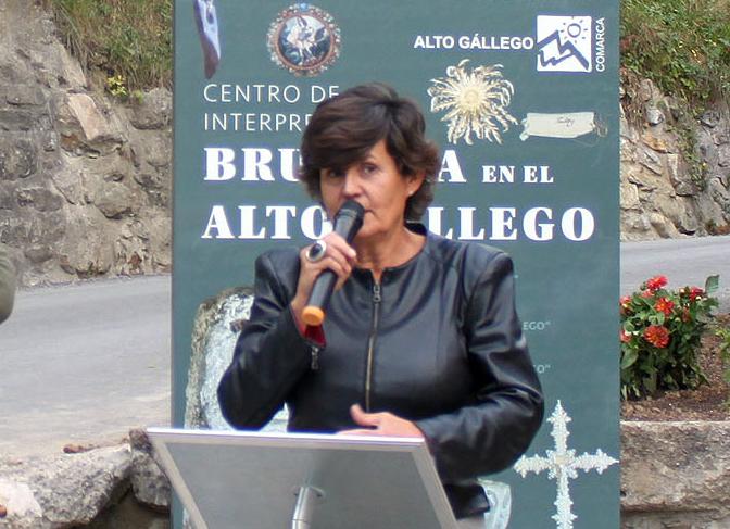 Imagen Presidenta de la Comarca de Alto Gállego