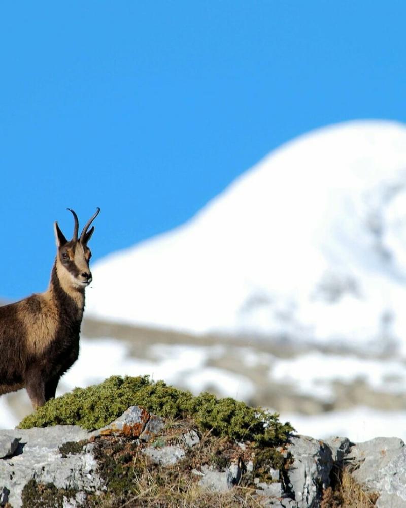 Imagen Espacios naturales de la Comarca Alto Gállego