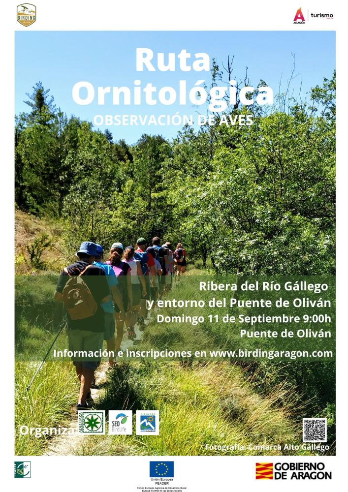 Imagen Ruta Ornitológica por el Alto Gállego